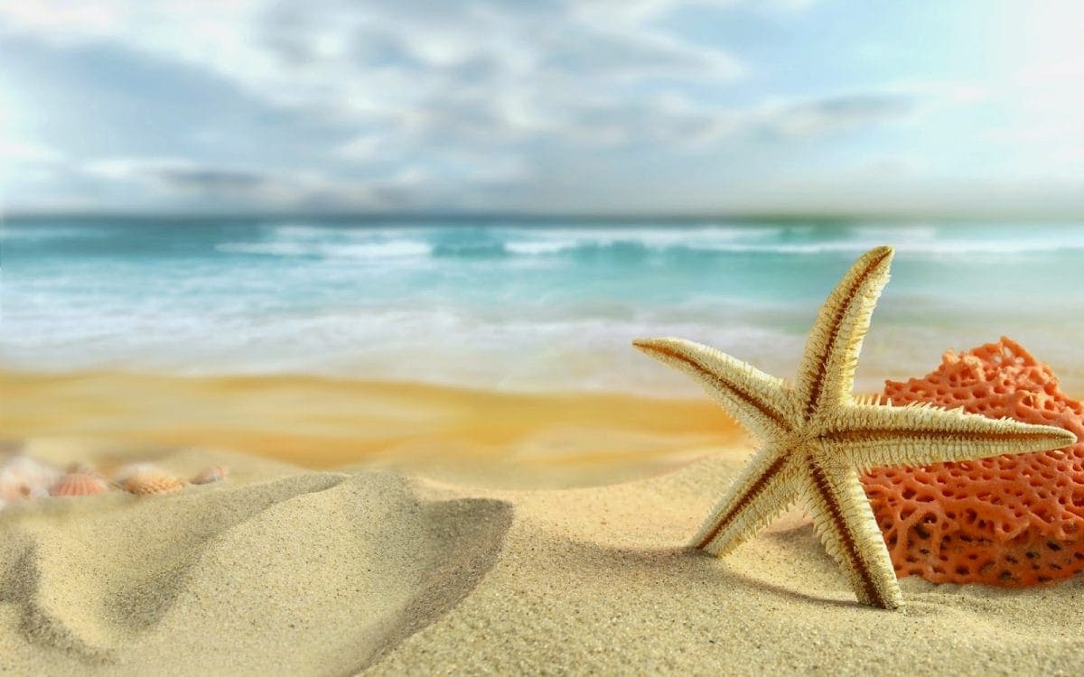 Cover banner